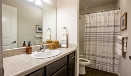 bathroom with sink and counter, mirror, toilet, and shower