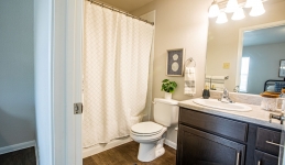 Master bathroom with toilet, sink, countertop, and shower